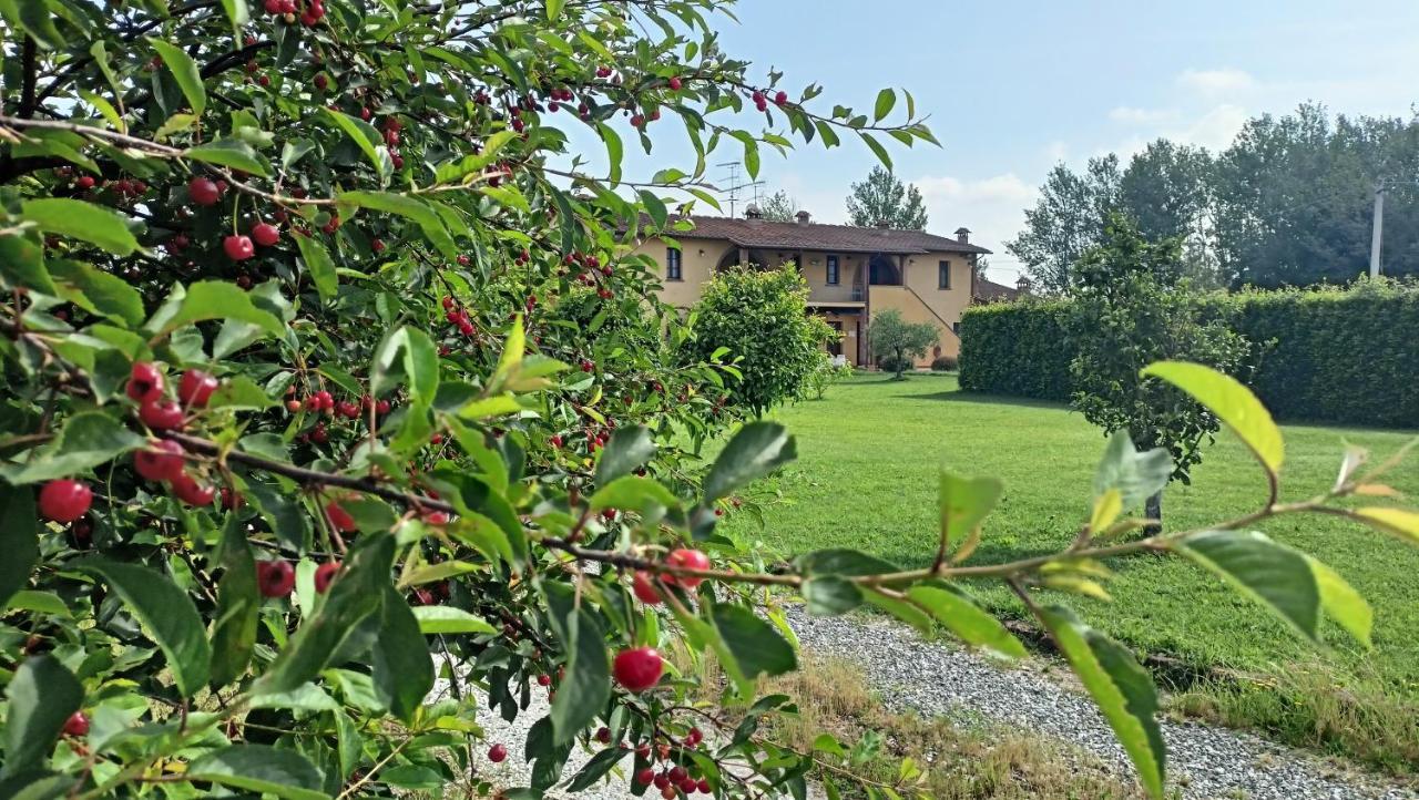 Il Chiassetto Agriturismo No Kids Cascina Bagian luar foto