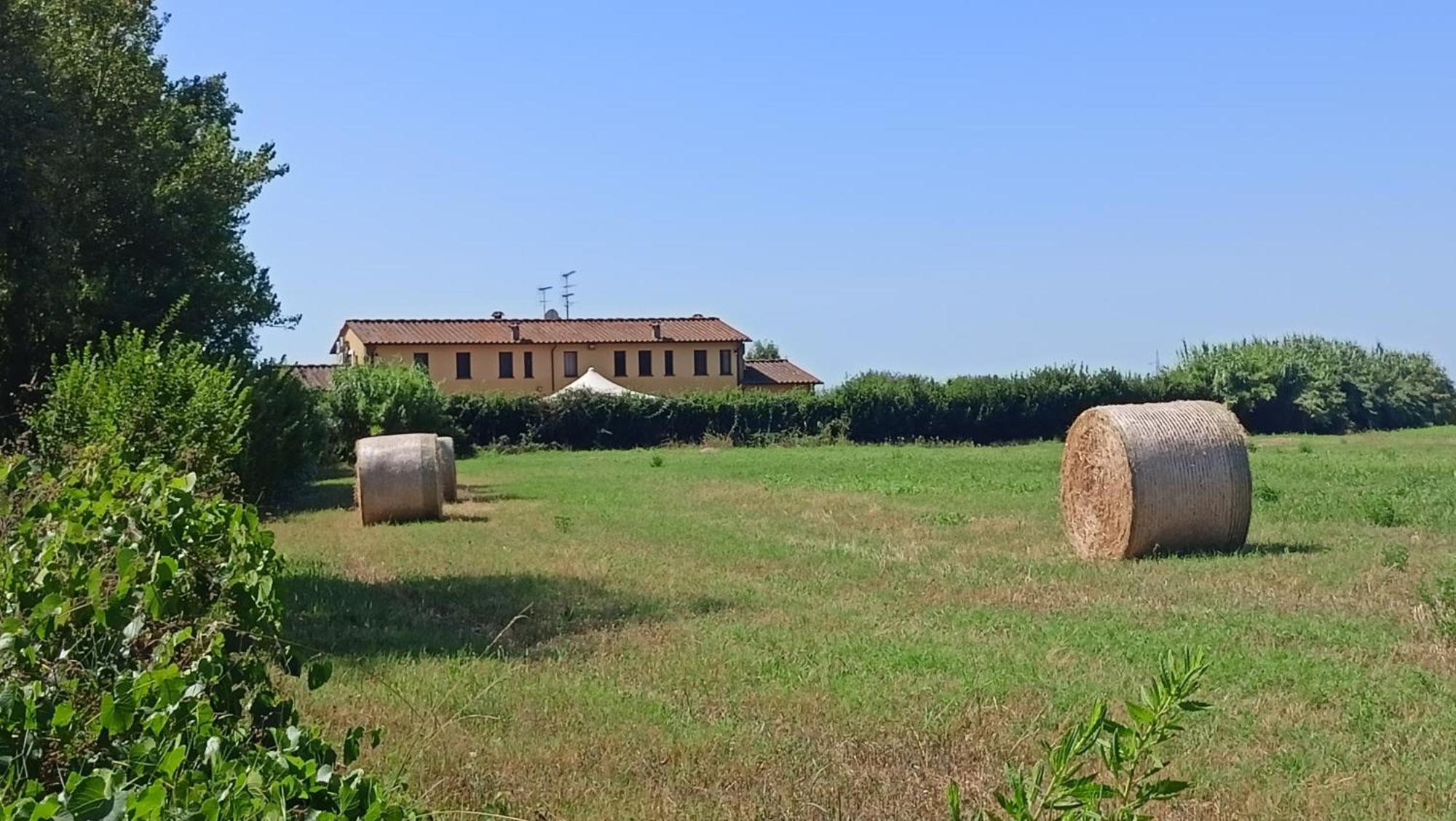 Il Chiassetto Agriturismo No Kids Cascina Bagian luar foto