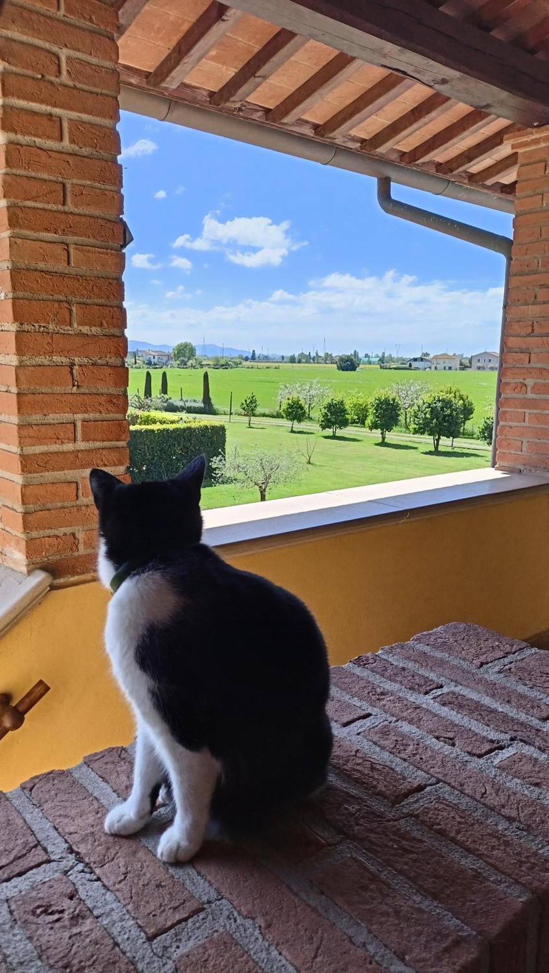 Il Chiassetto Agriturismo No Kids Villa Cascina Bagian luar foto